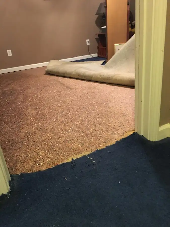 Carpet pad removal revealing water damage during Drying & Dehumidification in Fruit Cove