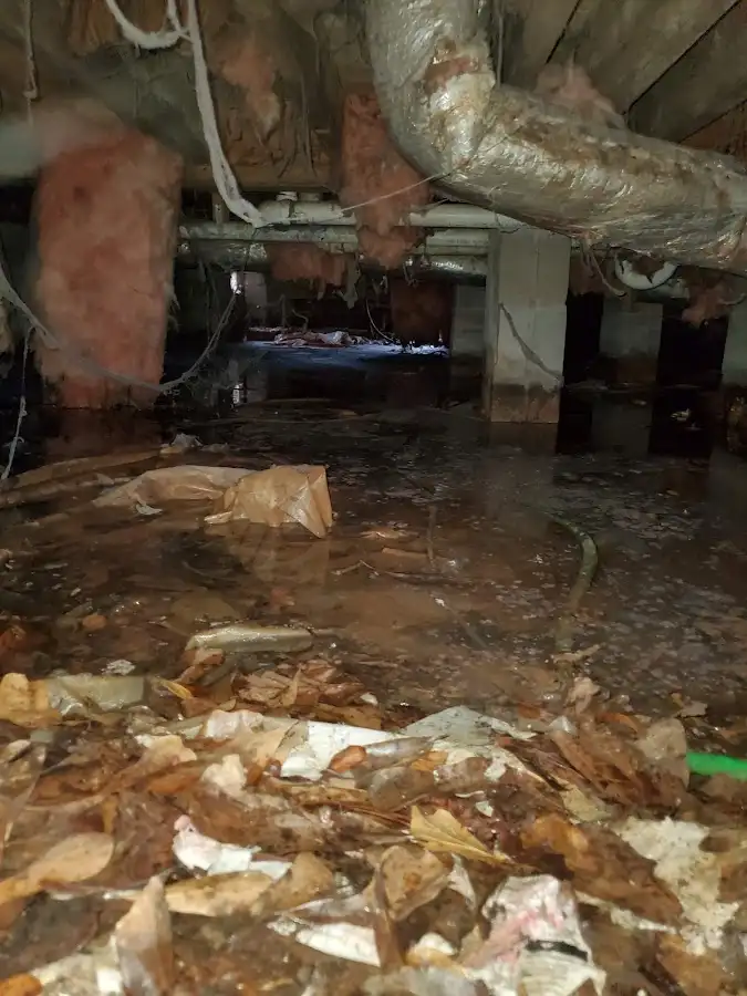 Crawl space flood assessment for Leak Detection & Repair in Fruit Cove