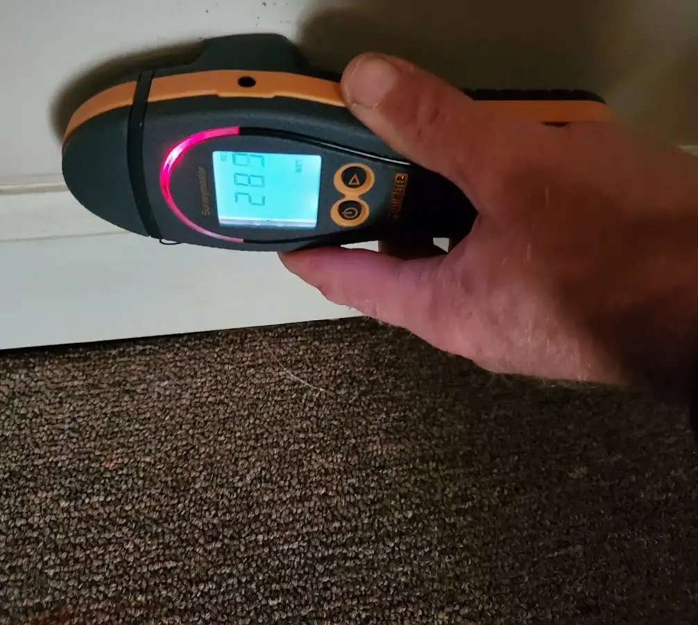 Moisture detection at baseboard during Mold Inspection & Testing in Fruit Cove