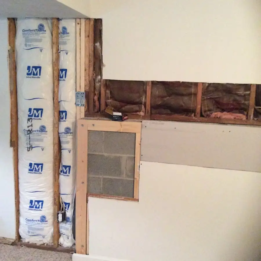 Wall insulation replacement during Basement Flood Cleanup in Fruit Cove